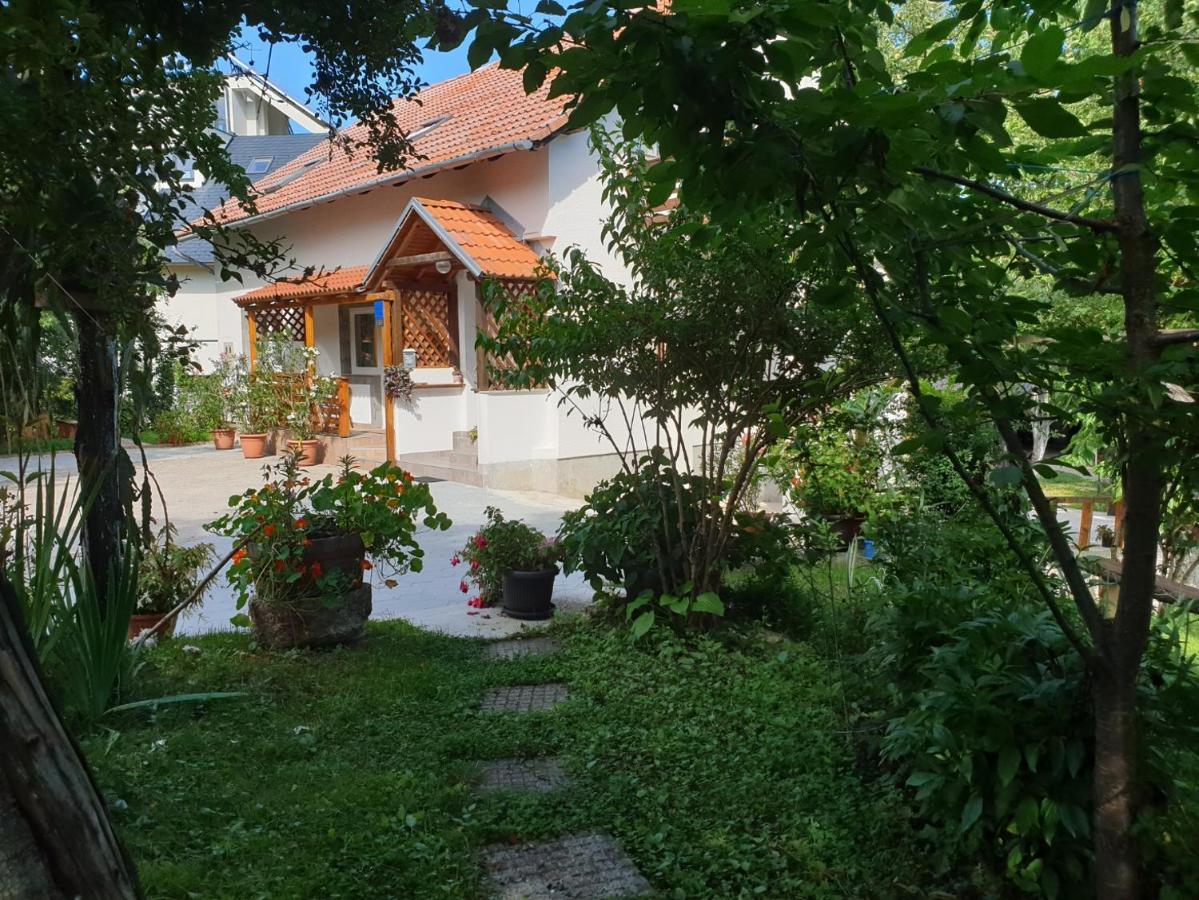 Apartment Liso Selište Drežničko Exterior foto