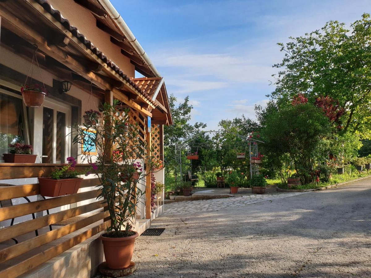Apartment Liso Selište Drežničko Exterior foto